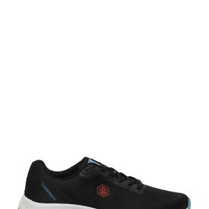 1 org zoom 169155