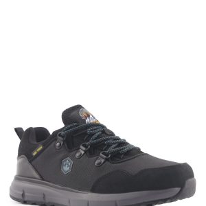 1 org zoom 186646