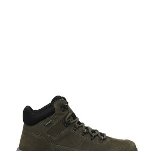 1 org zoom 187851