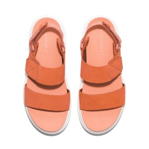 صندل اورجینال برند Timberland کد 815773994