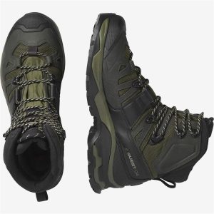بوت اورجینال برند Salomon مدل Quest 4 GTX کد 749603895