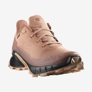 کفش دویدن اورجینال برند Salomon مدل Alphacross 5 GTX کد 846495895
