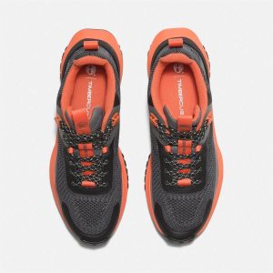 کتونی اورجینال برند Timberland کد 862772309